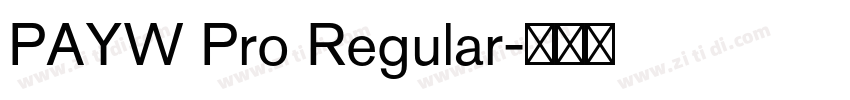 PAYW Pro Regular字体转换 PAYW Pro Regular字体转换
